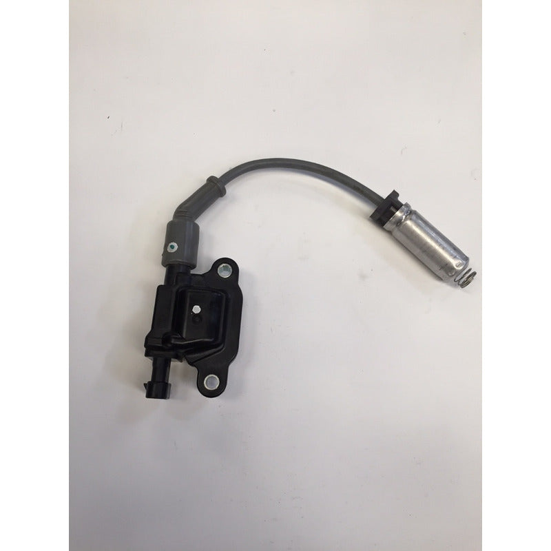 Bobina De Encendido Chevrolet 5.3 Lts 2014 A 2018 Original