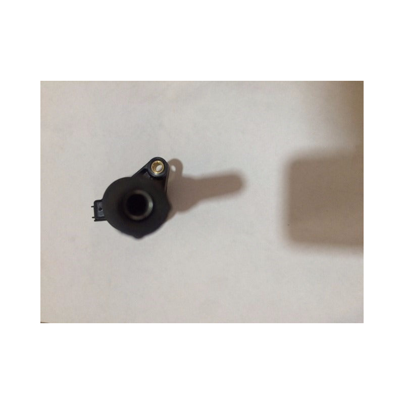 Bobina Para 5.4 Ford Original