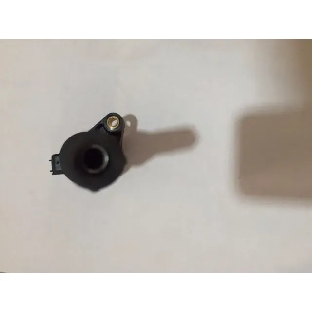 Bobina Para 5.4 Ford Original