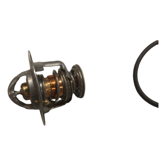 Termostato De Motor Ford 5.4 4.6 6.8  Original Motorcraft