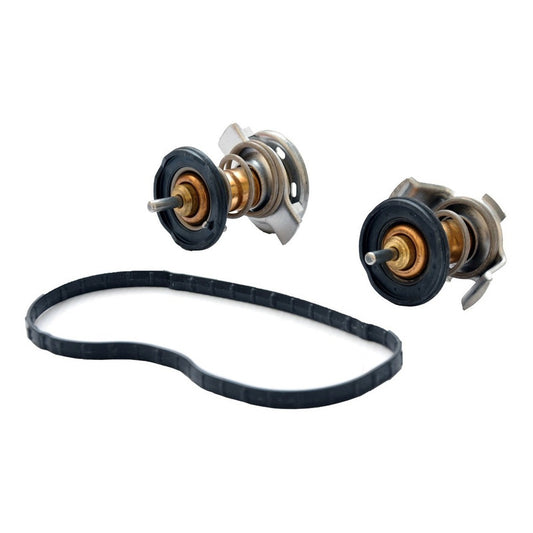 Termostato Ford F250 F450 Super Duty 2008-2010 6.4l