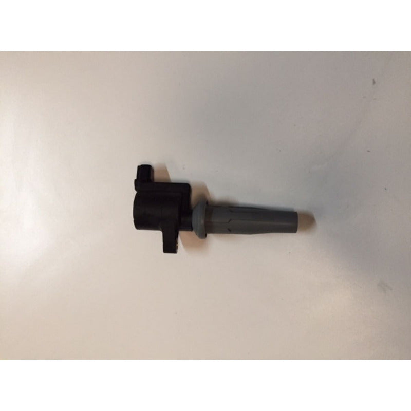 Bobina De Encendido Ford Focus Ecosport 2.0 05-15 Original
