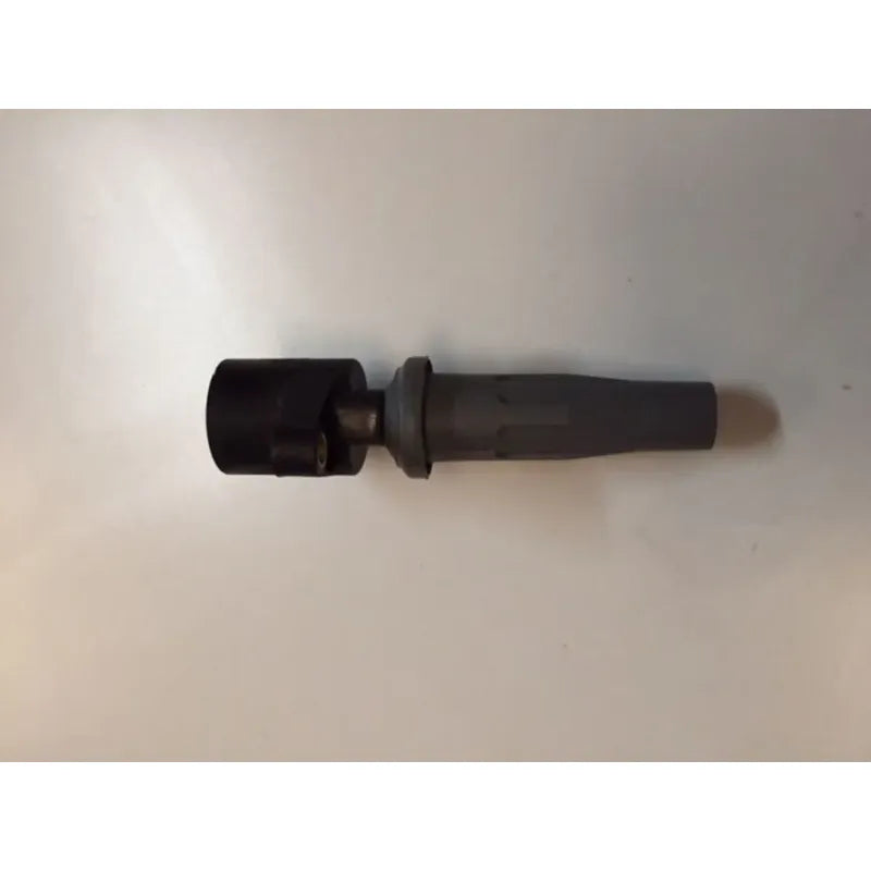 Bobina De Encendido Ford Focus Ecosport 2.0 05-11 Original