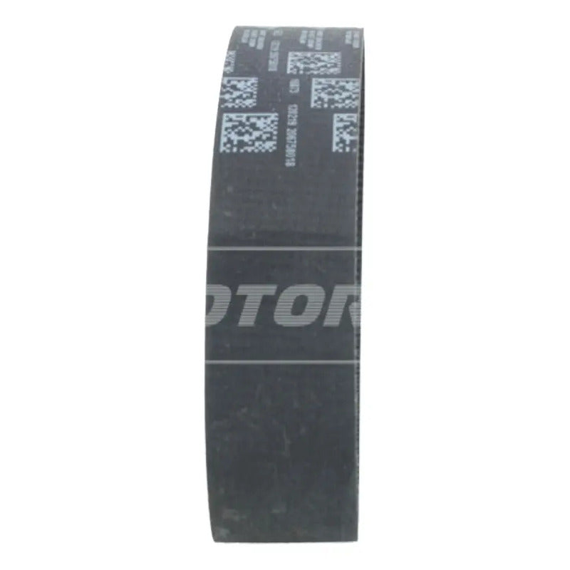 Banda De Cremallera Electro Asistida Ford Focus 12-20