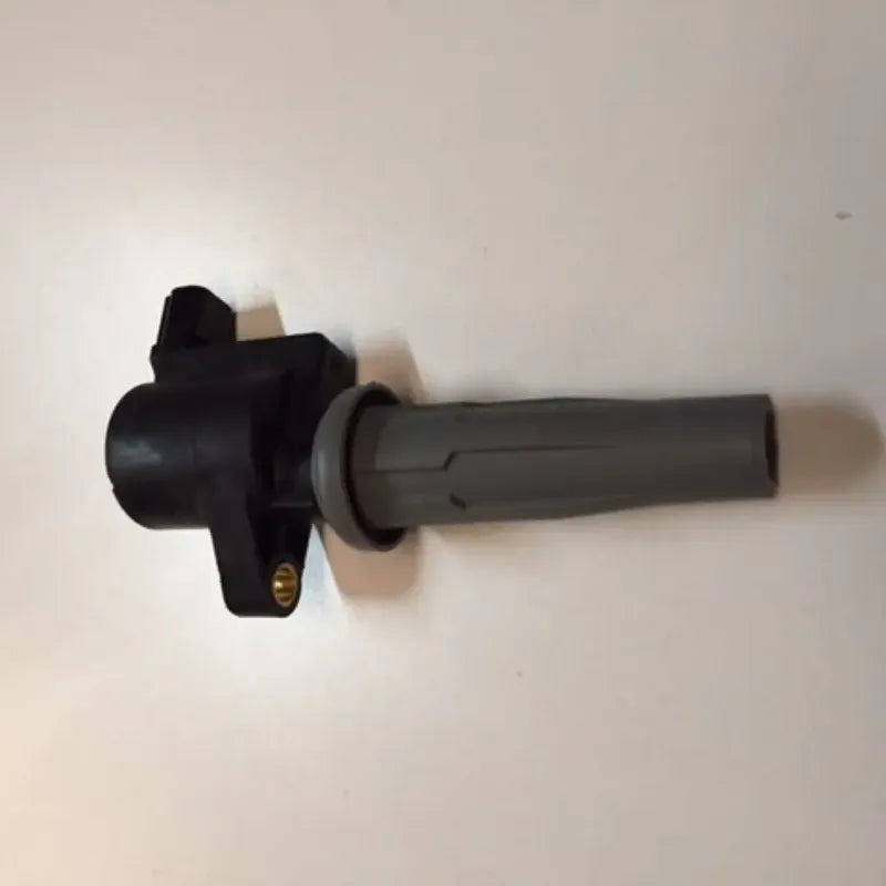 Bobina De Encendido Ford Focus Ecosport 2.0 05-11 Original