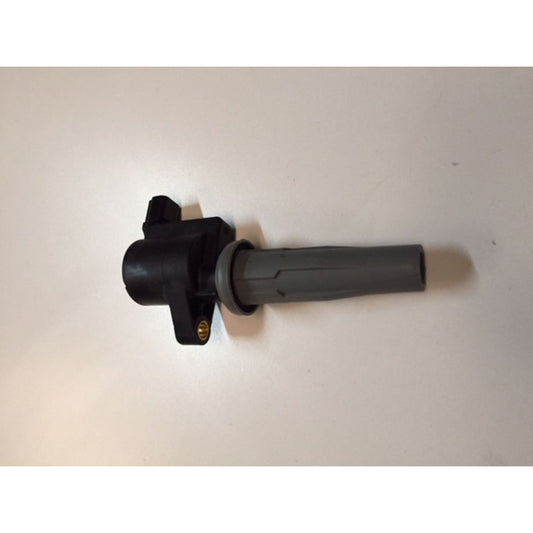 Bobina De Encendido Ford Focus Ecosport 2.0 05-15 Original